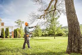 Best Tree Disease Treatment  in Delavan, IL